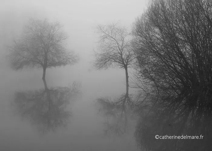 Le Relais De L'endormie